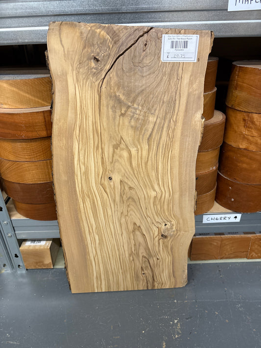 Olive Wood OW04 — 575x280x22mm