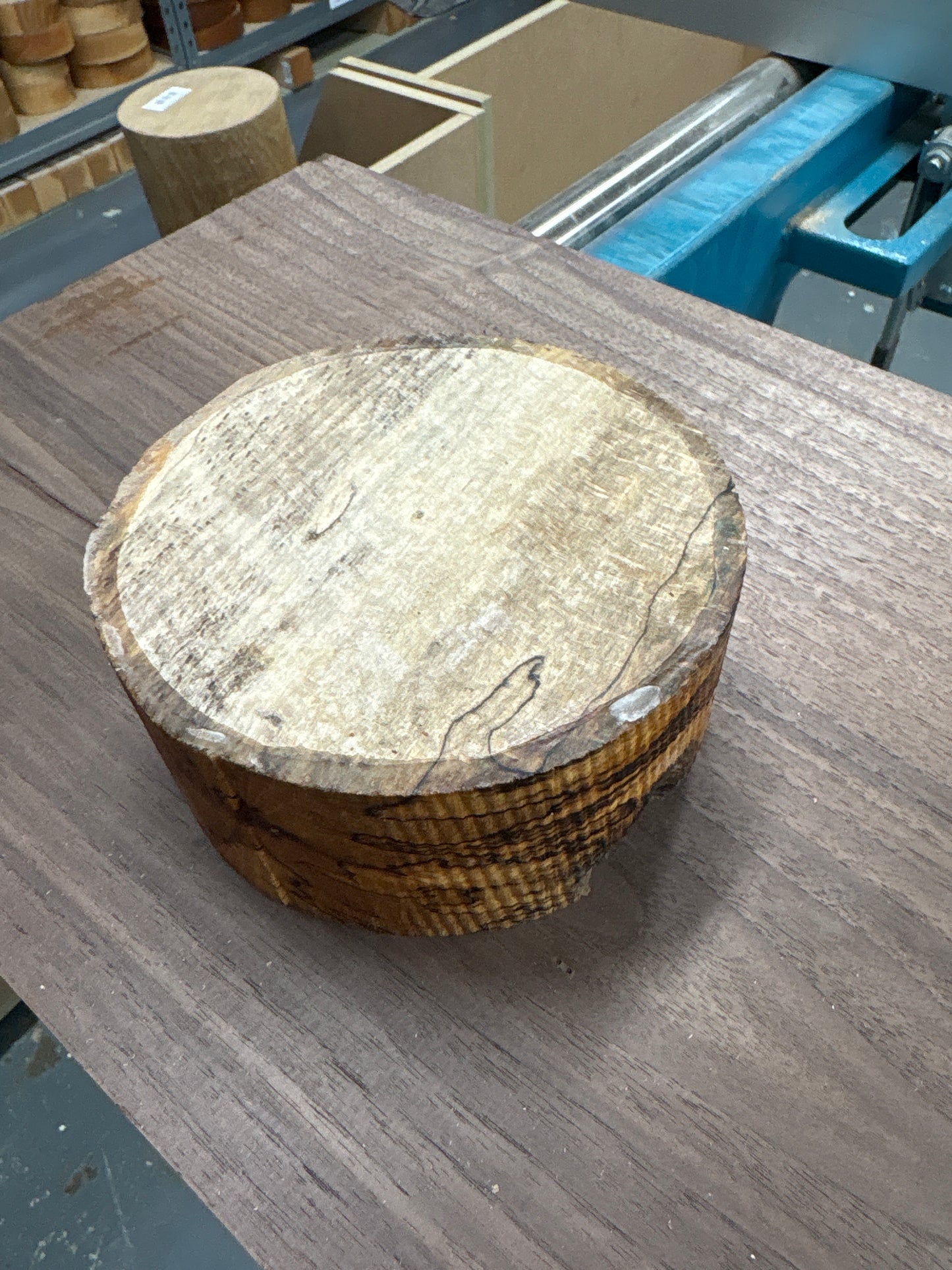 Spalted Beech Bowl Blank SBB05 — 135x60mm