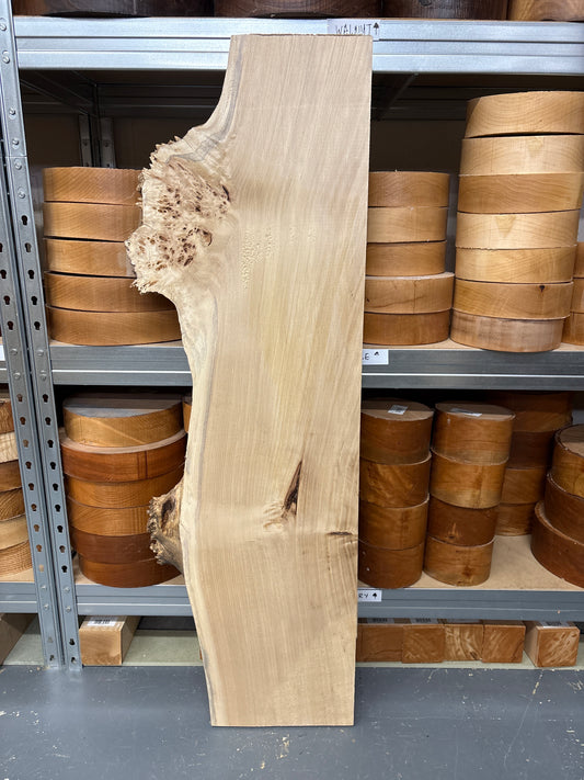 Mappa Burr MB05 — 1050x170-230x40mm.