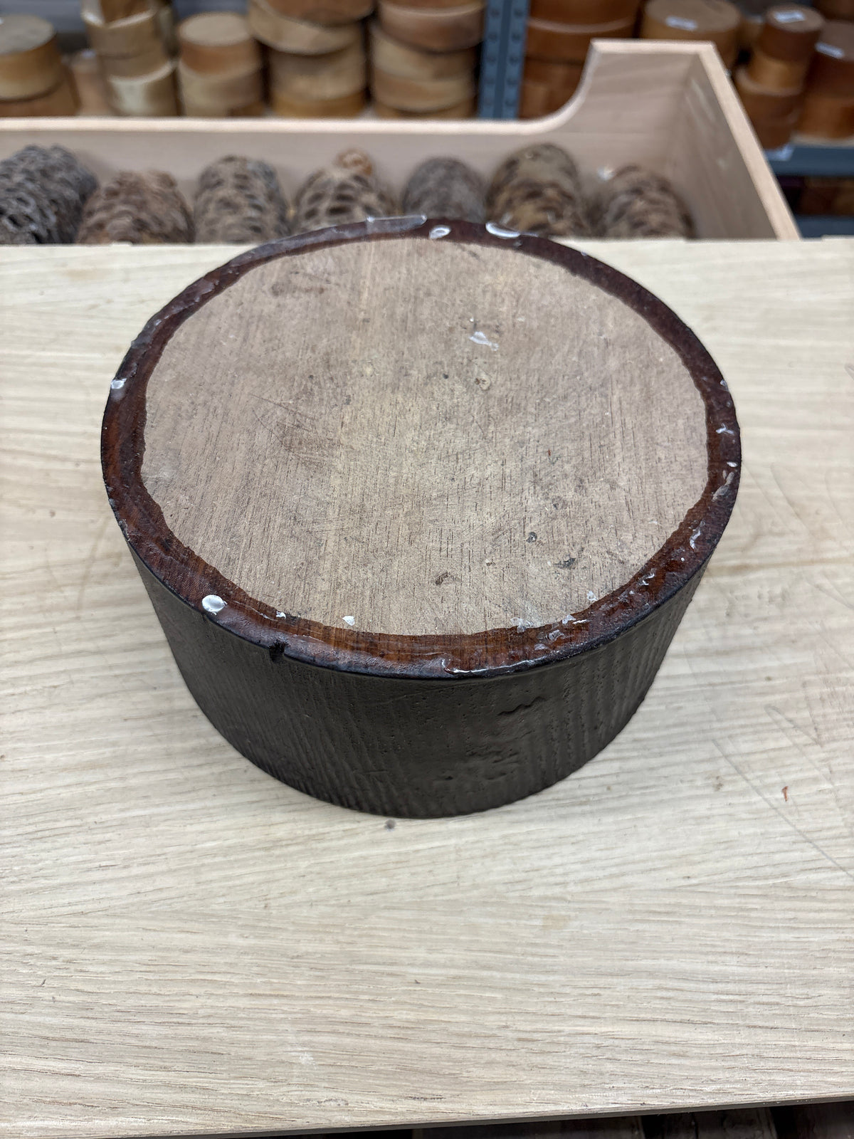 American Black Walnut Bowl Blank WLBB02 — 200 × 98mm | John Boddy Stock