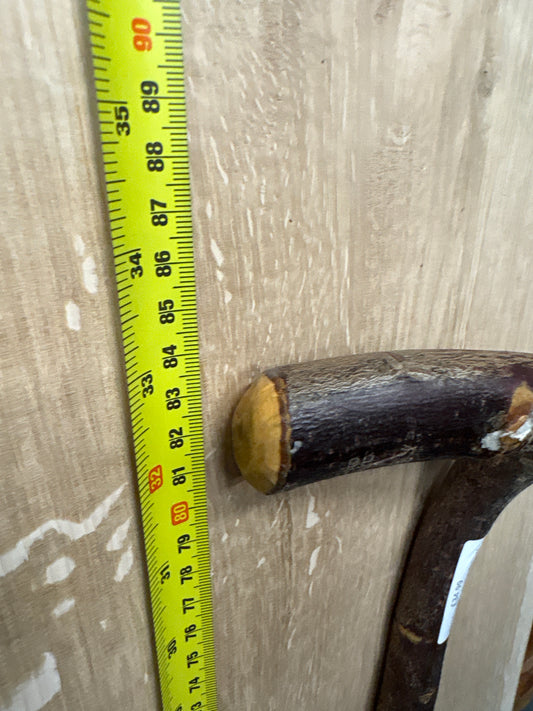 BTW02 Blackthorn Walking Stick Blank — Approx. 830mm × 20–22mm Shaft