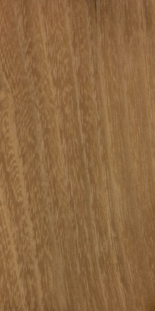 False Acacia / Black Locust