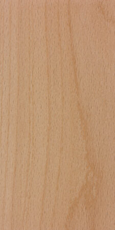 Beech