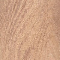 European Ash