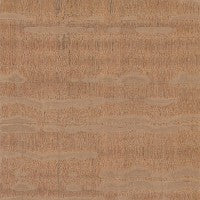 Silky Oak
