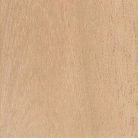 Spanish Cedar