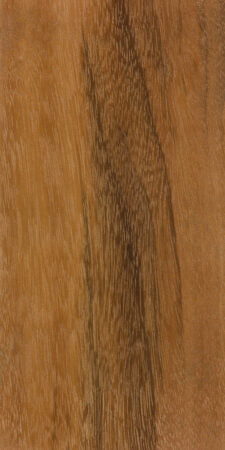 Tigerwood (Goncalo Alves)