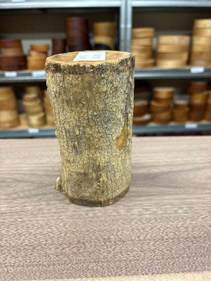 English Boxwood Loglet Blank BOX02