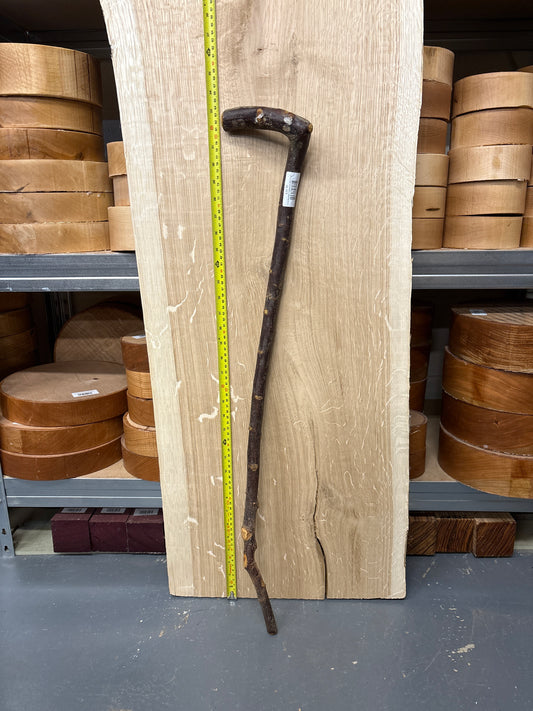 BTW02 Blackthorn Walking Stick Blank — Approx. 830mm × 20–22mm Shaft