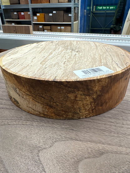 Spalted Beech Bowl Blank SBB11 — 235x60mm