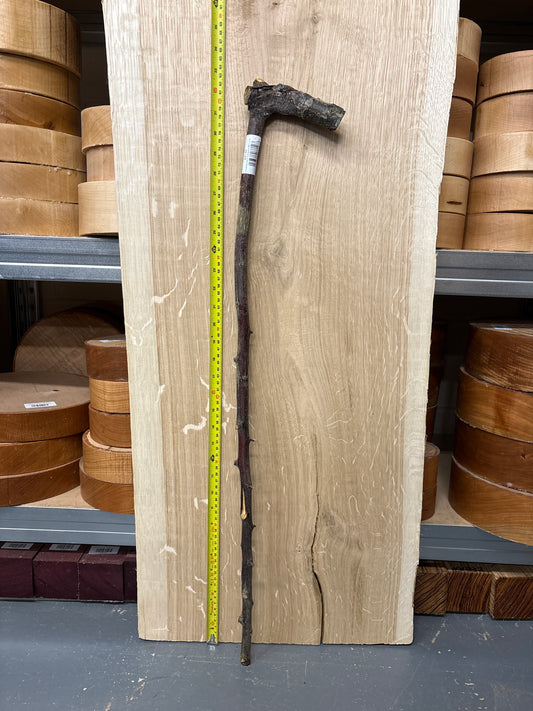 BTW08 Blackthorn Walking Stick Blank — Approx. 830mm × 18mm Shaft