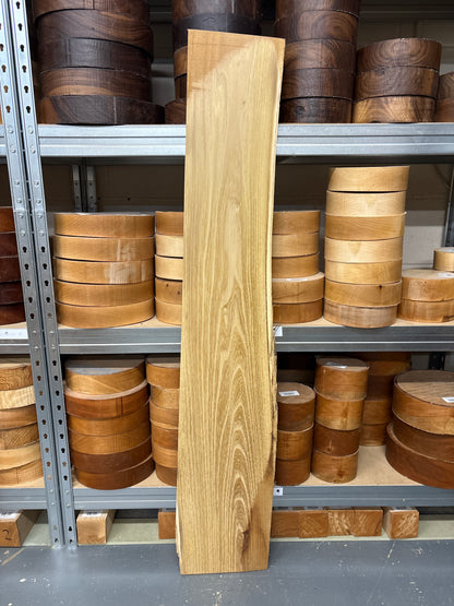 False Acacia / Black Locust Plank AC03 — 1250x190x18mm Live Edge