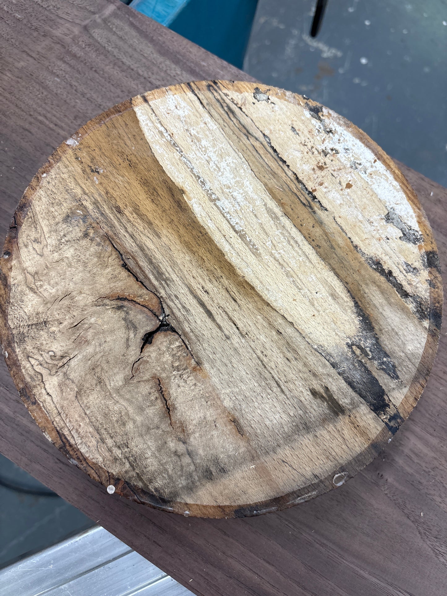 Spalted Beech Bowl Blank SBB01 — 235mm x 60mm