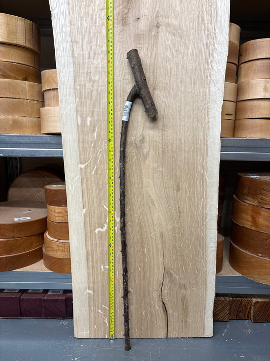 BTW07 Blackthorn Walking Stick Blank — Approx. 803mm × 15mm Shaft
