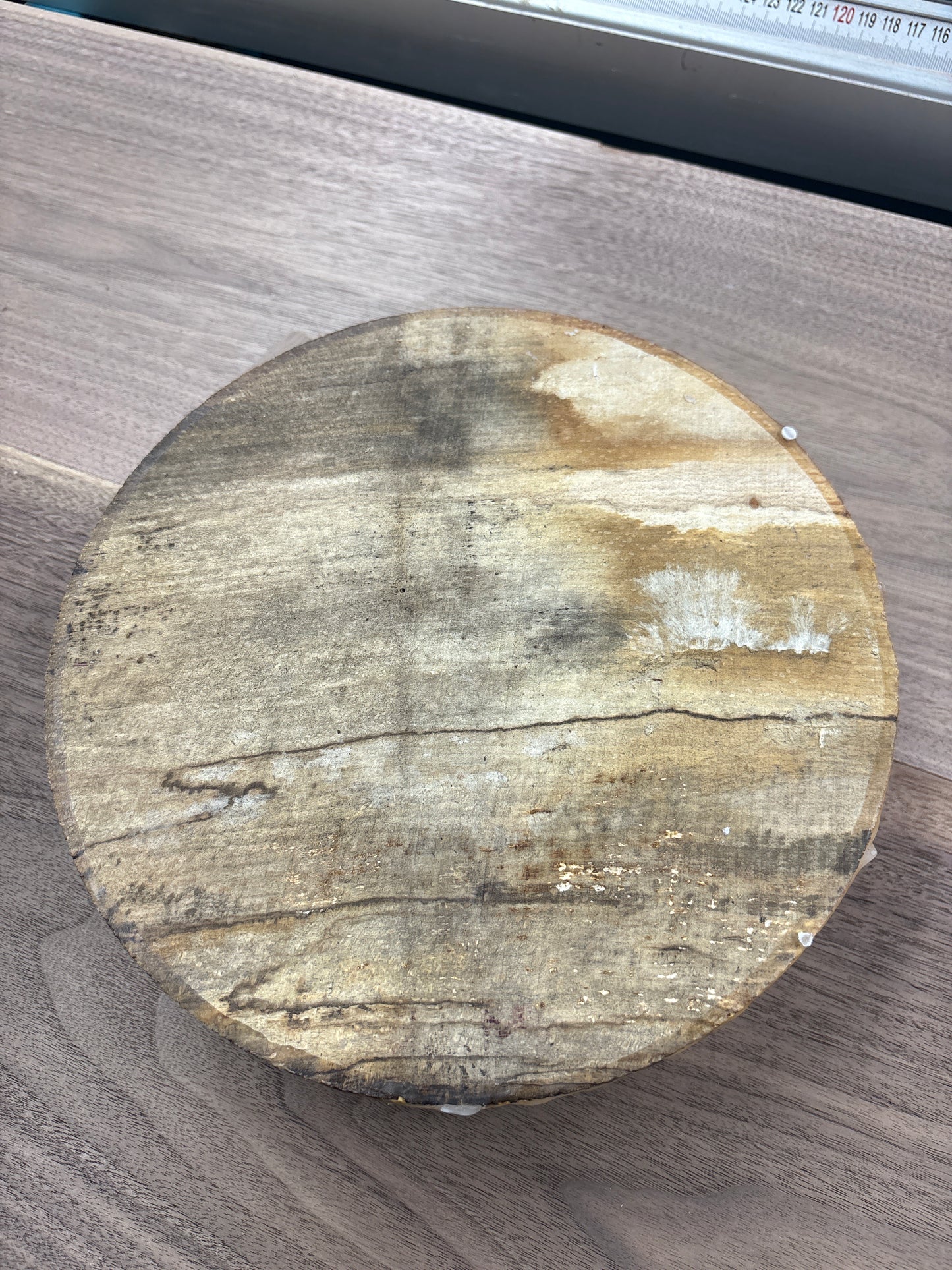 Spalted Beech Bowl Blank SBB11 — 235x60mm