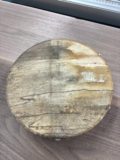 Spalted Beech Bowl Blank SBB11 — 235x60mm