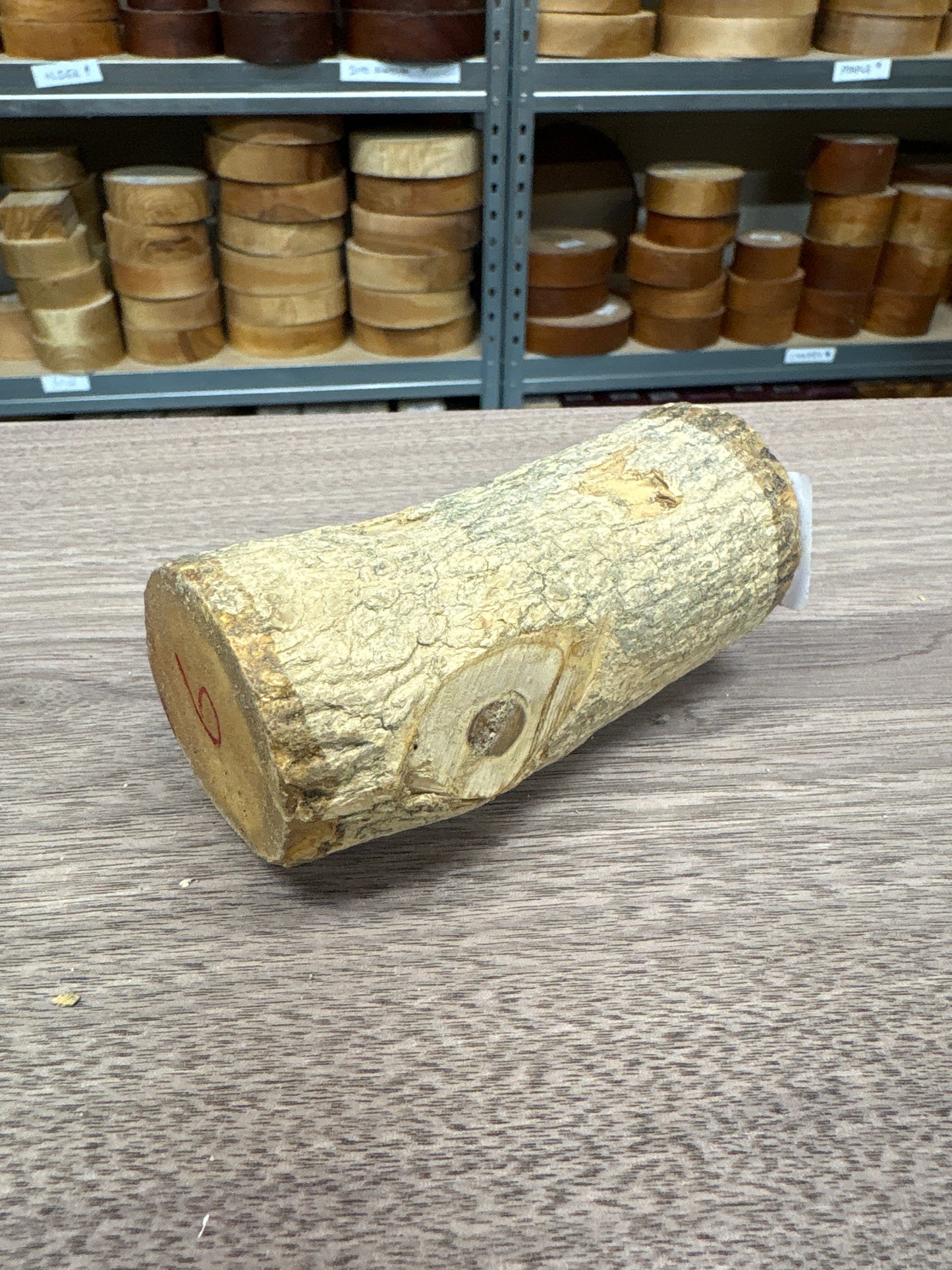 English Boxwood Loglet Blank BOX06