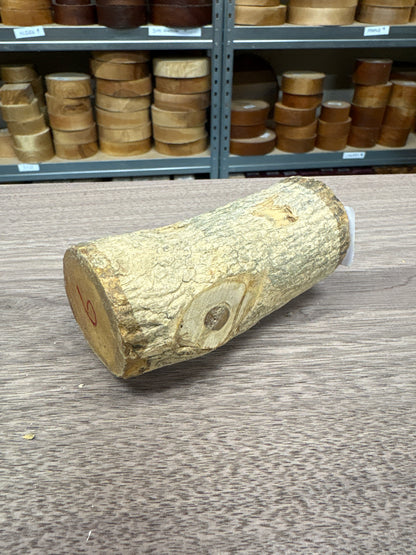 English Boxwood Loglet Blank BOX06
