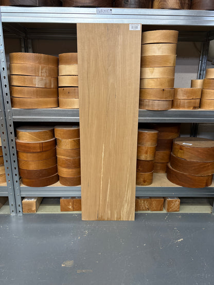 Spalted Beech SPB01 — 1010x295x22mm