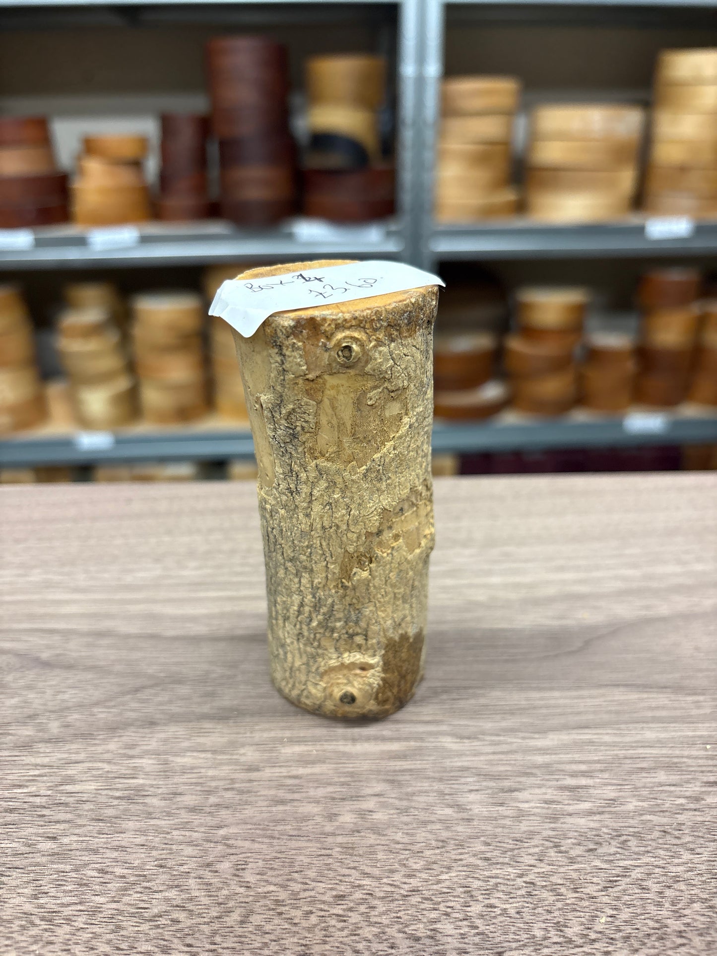 English Boxwood Loglet Blank BOX04