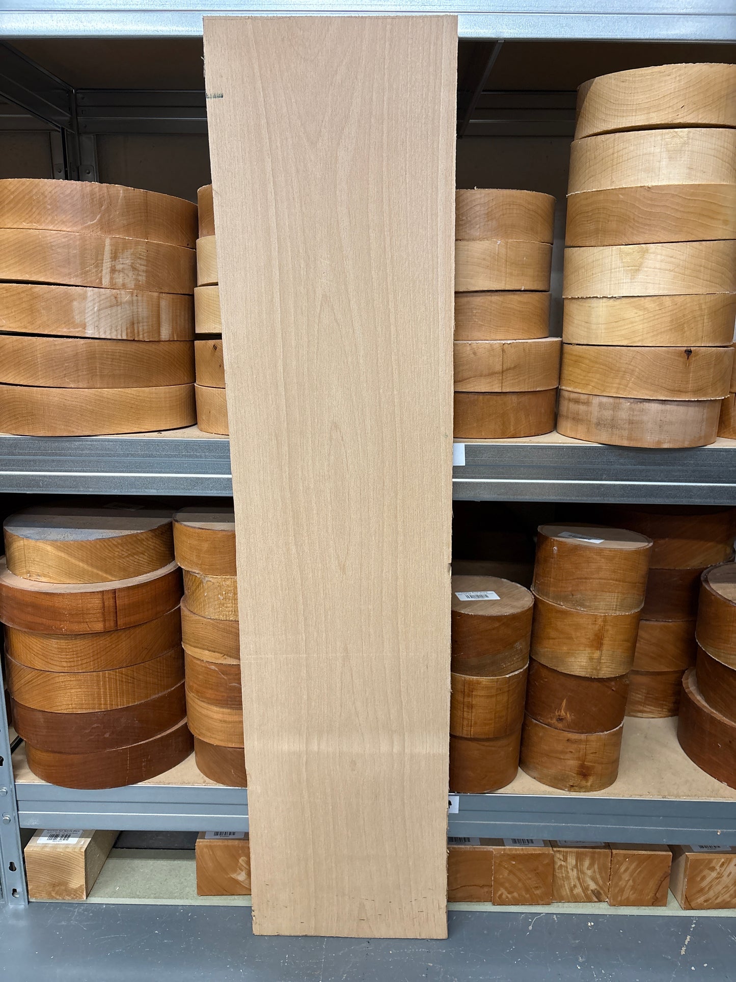 European Beech BEE04 — 1025x235x25mm