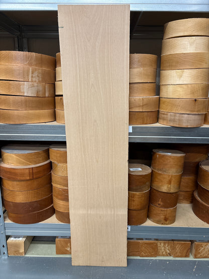 European Beech BEE04 — 1025x235x25mm