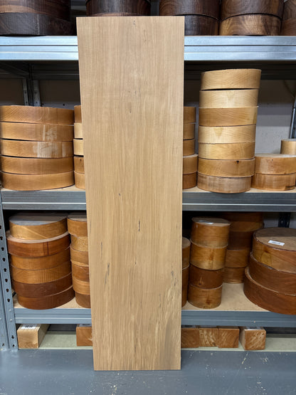 Spalted Beech SPB02 — 1120x300x20mm