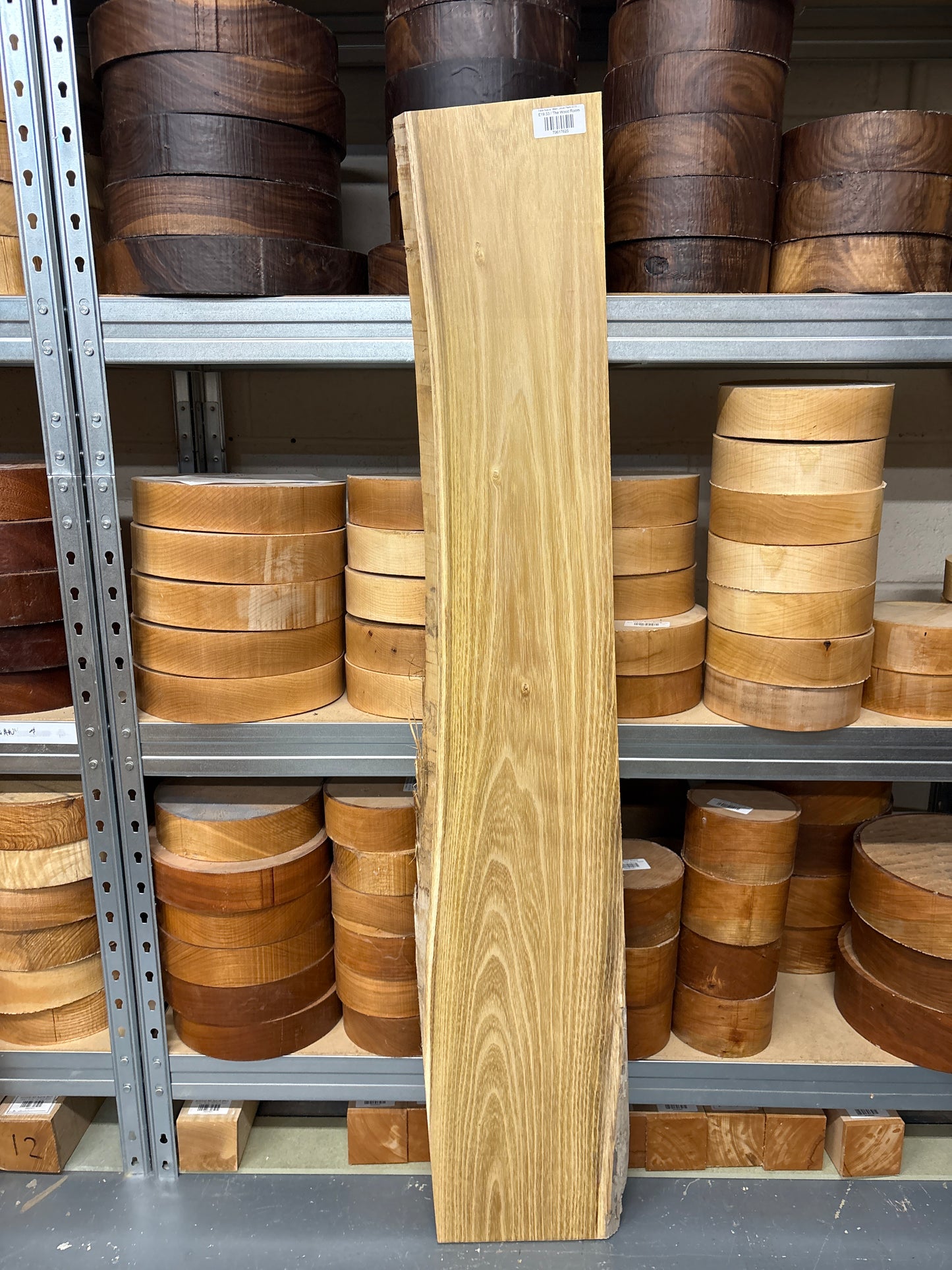 False Acacia / Black Locust Plank AC03 — 1250x190x18mm Live Edge