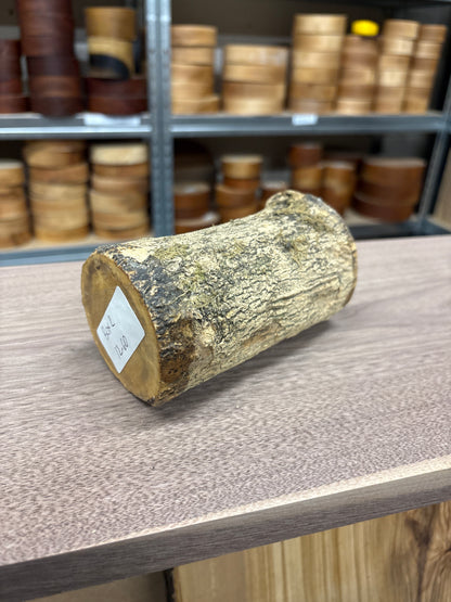 English Boxwood Loglet Blank BOX02
