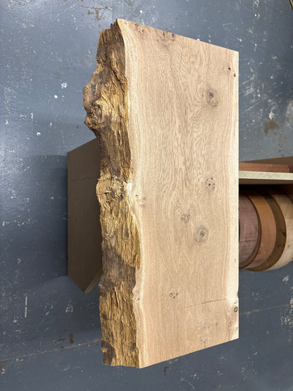 European Oak EUO09 — 620x320avg x50mm Pippy (Live Edge)