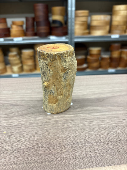 English Boxwood Loglet Blank BOX06