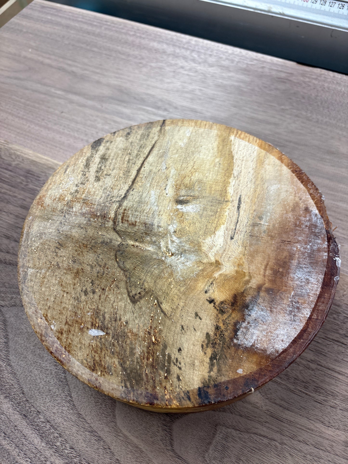 Spalted Beech Bowl Blank SBB10 — 210x60mm
