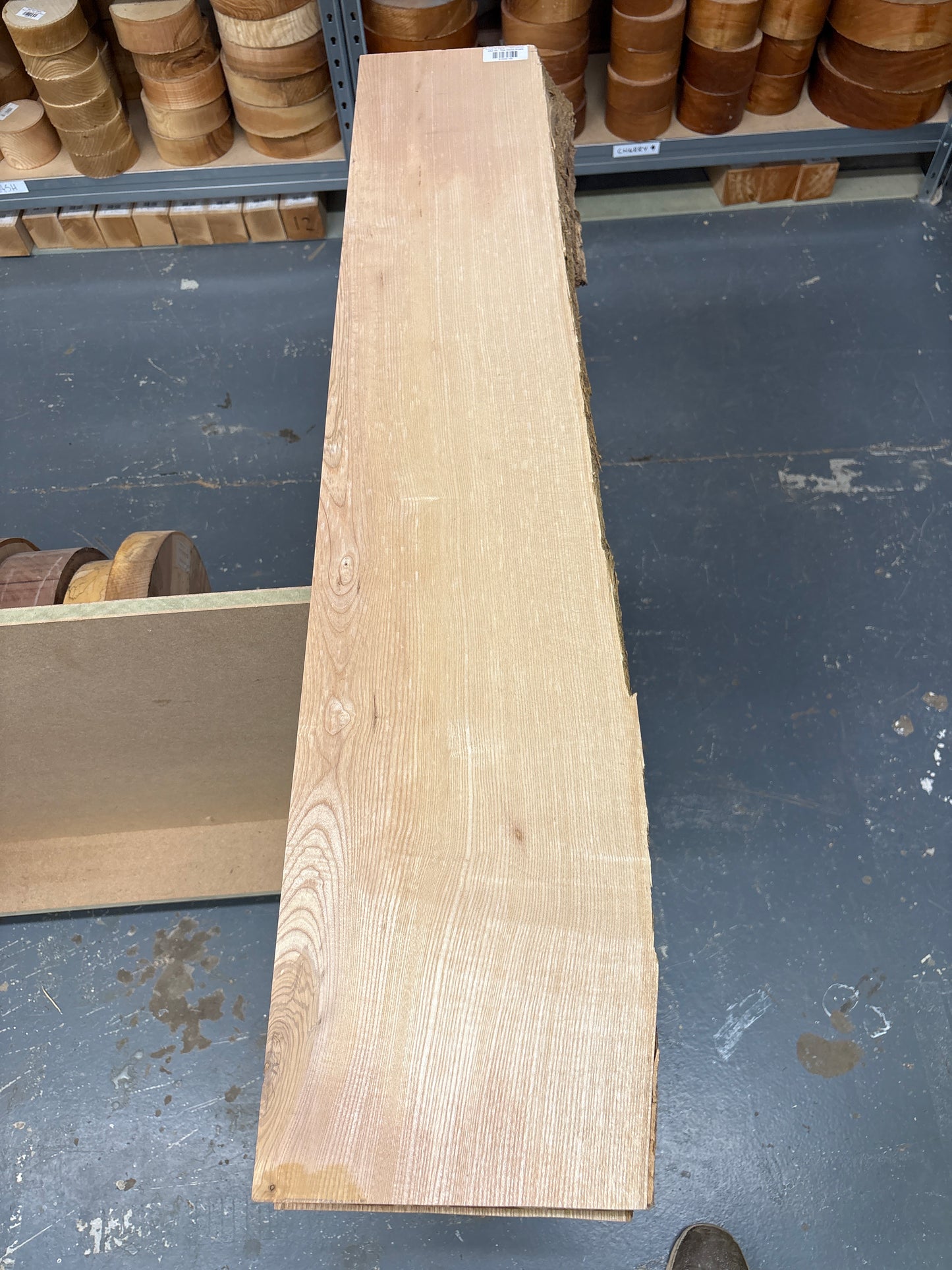 European Ash EASH04 — 1120x210-230x72mm (Live Edge)
