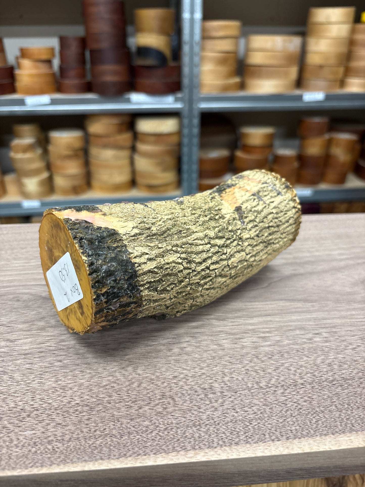 English Boxwood Loglet Blank BOX01