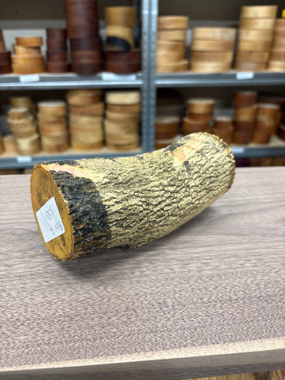 English Boxwood Loglet Blank BOX01