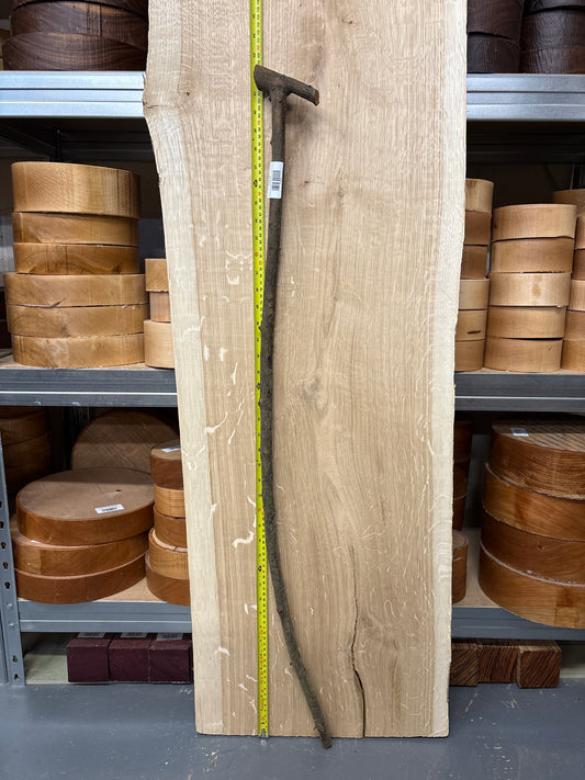 BTW05 Blackthorn Walking Stick Blank — Approx. 1080mm × 18–20mm Shaft