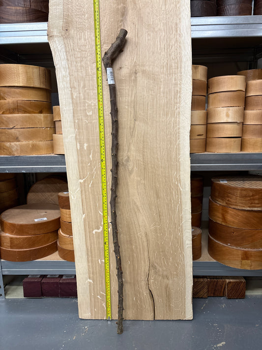 BTW04 Blackthorn Walking Stick Blank — Approx. 1030mm × 18–20mm Shaft