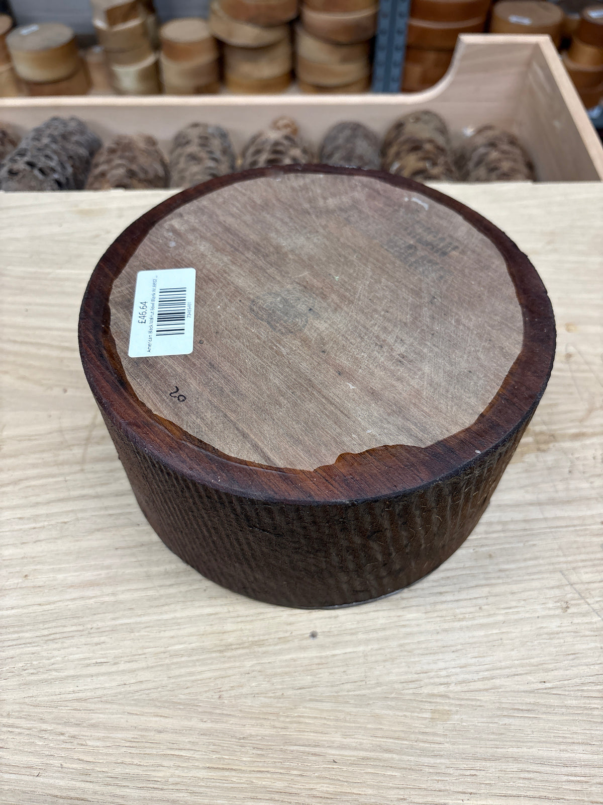 American Black Walnut Bowl Blank WLBB02 — 200 × 98mm | John Boddy Stock