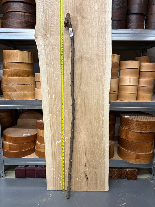 BTW06 Blackthorn Walking Stick Blank — Approx. 1150mm × 20mm Shaft