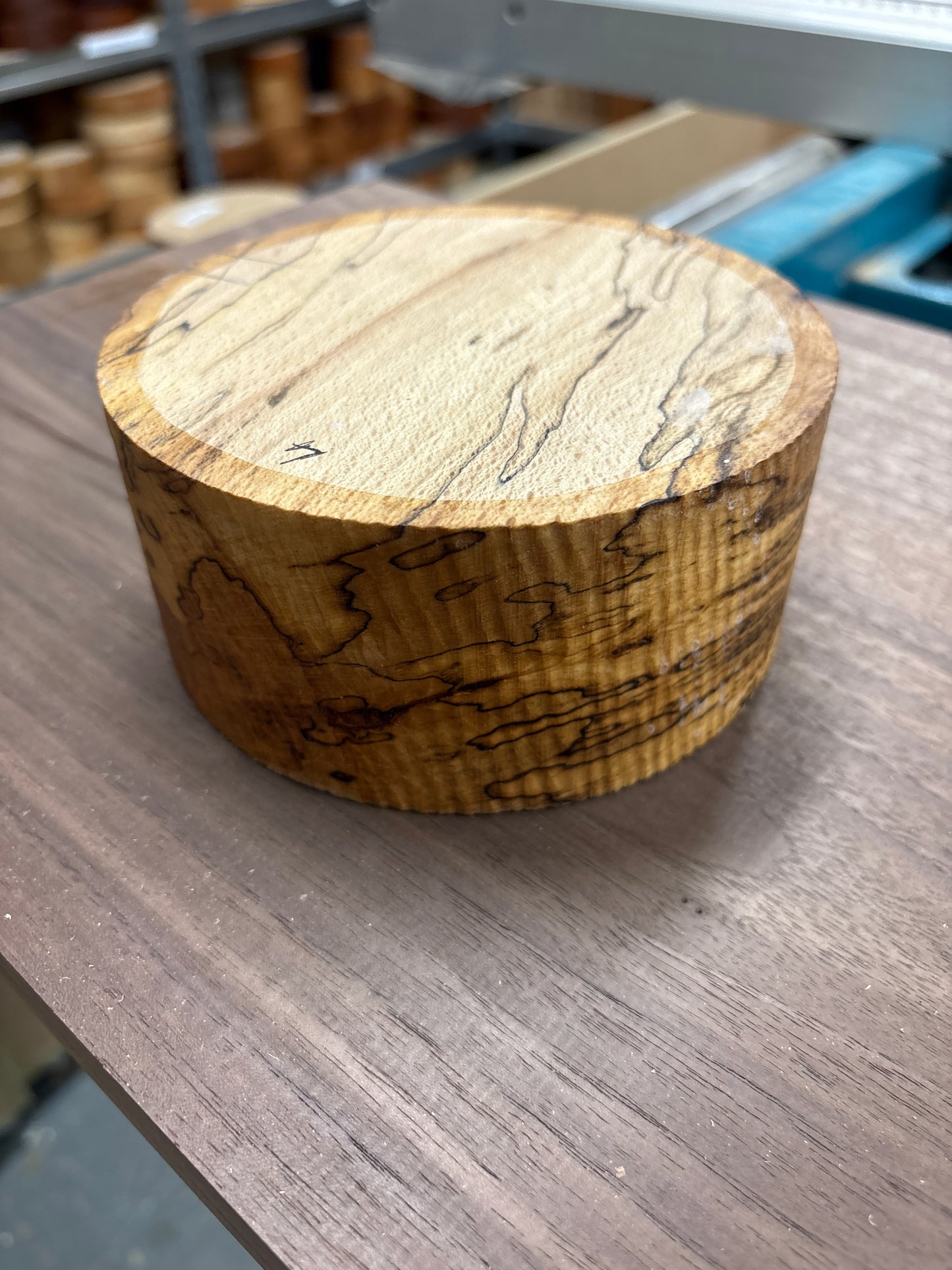 Spalted Beech Bowl Blank SBB04 — 130x60mm