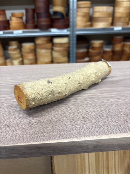 English Boxwood Loglet Blank BOX07