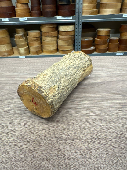 English Boxwood Loglet Blank BOX04