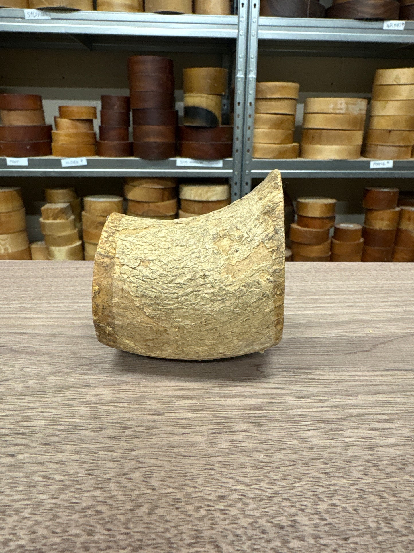 English Boxwood Loglet Blank BOX03