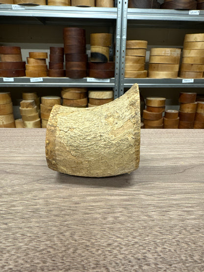 English Boxwood Loglet Blank BOX03