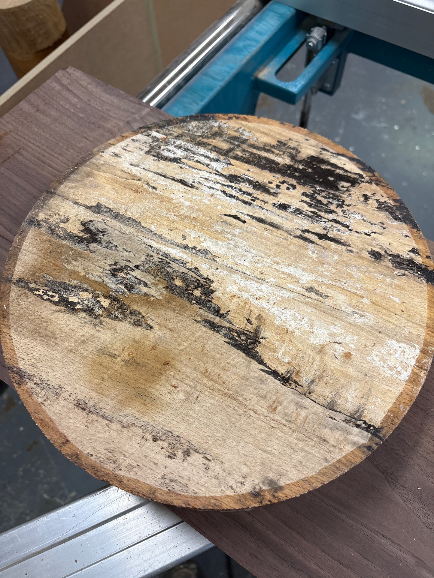 Spalted Beech Bowl Blank SBB02 — 310x60mm