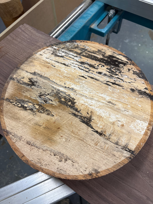 Spalted Beech Bowl Blank SBB02 — 310x60mm