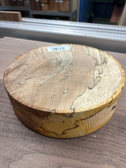 Spalted Beech Bowl Blank SBB10 — 210x60mm