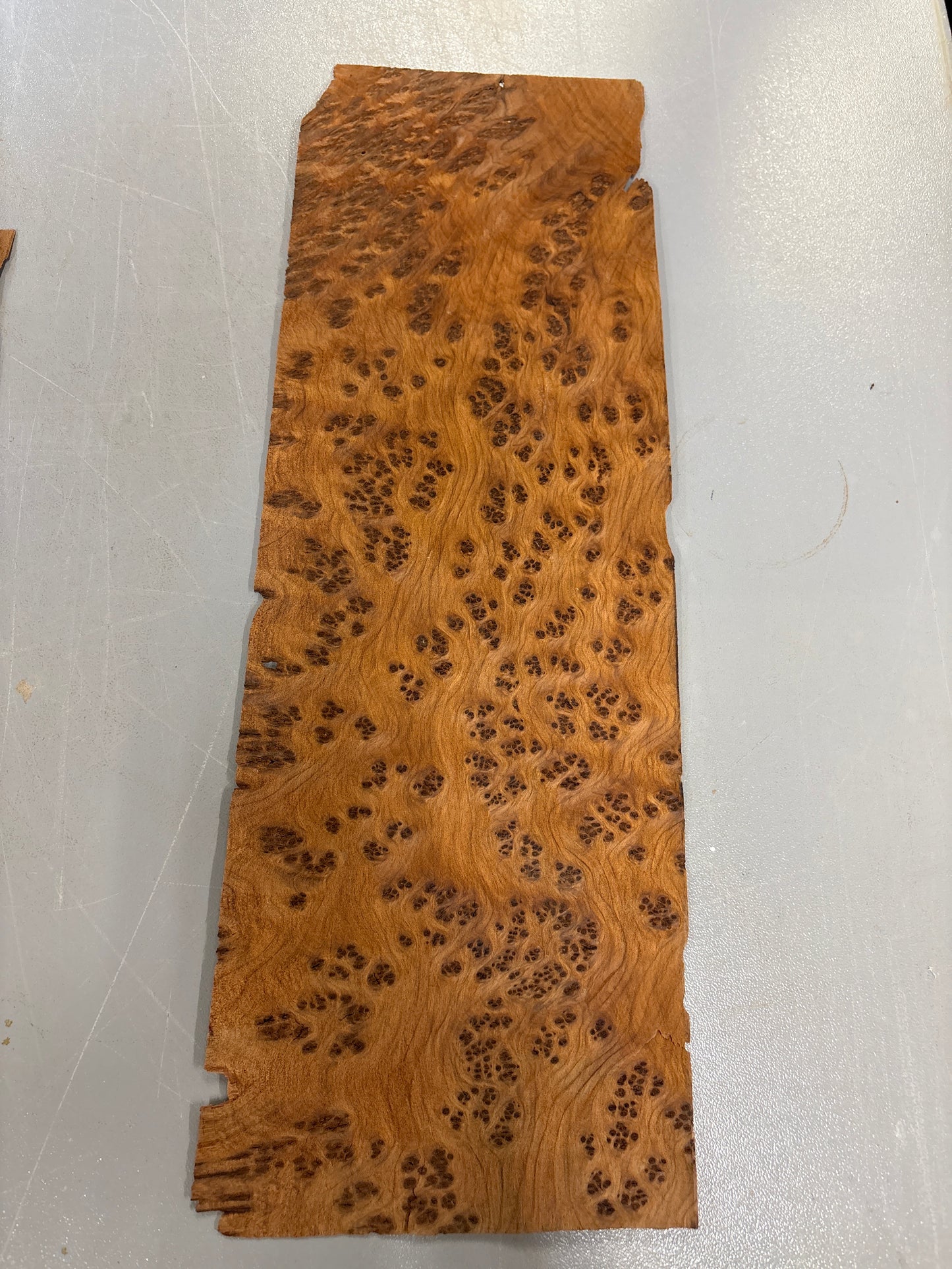 Thuya Burl Veneer 02 – approx 170 x 500 x 0.6mm