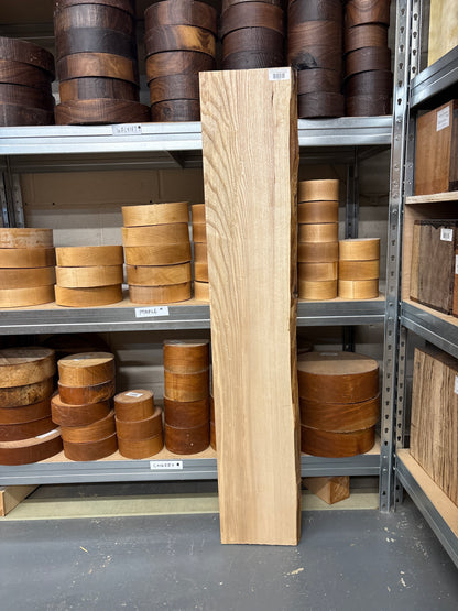 European Ash EASH06 — 1190x200-220x22mm (Live Edge)