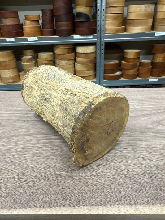 English Boxwood Loglet Blank BOX02